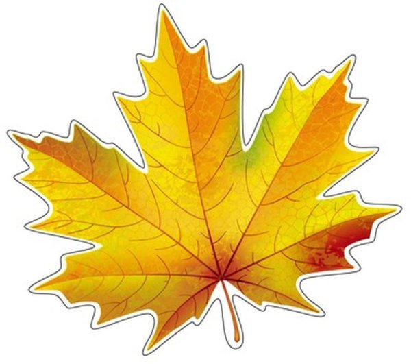 Кленовый лист цветной