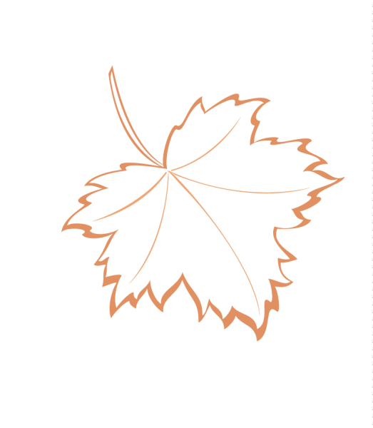 Контур осенних листьев