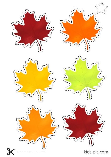 Кленовый лист для вырезания