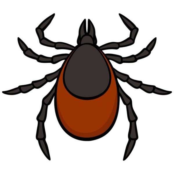 Клещ мультяшный