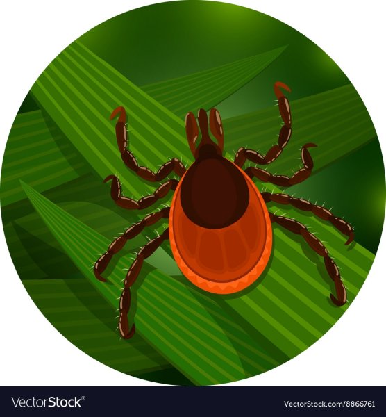 Клещи значок