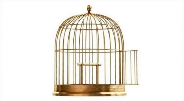 Открытая клетка для птиц