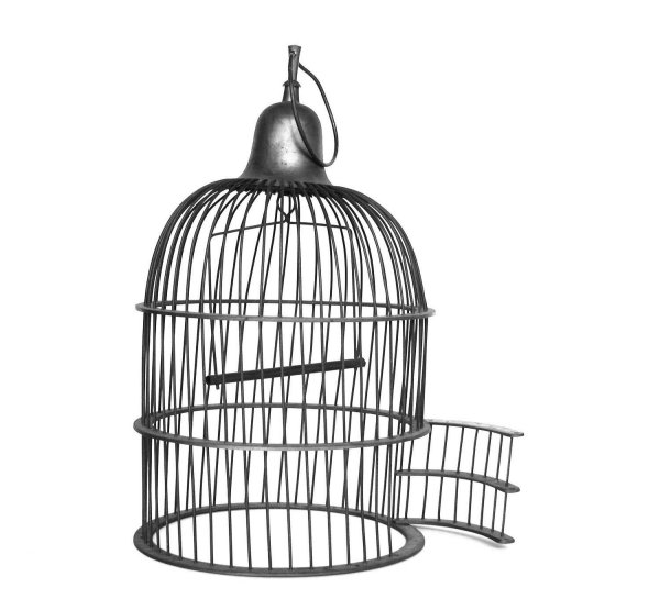 Птичья клетка