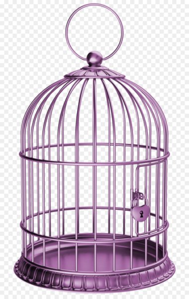 Птичья клетка