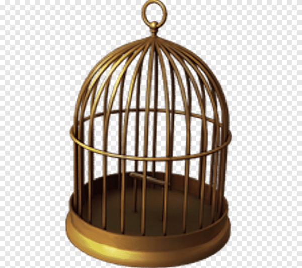 Клетка для птиц на прозрачном фоне
