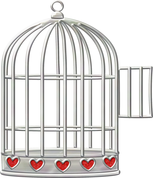 Клетка для птиц на прозрачном фоне