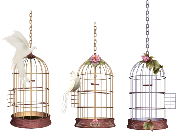 Птичка в клетке