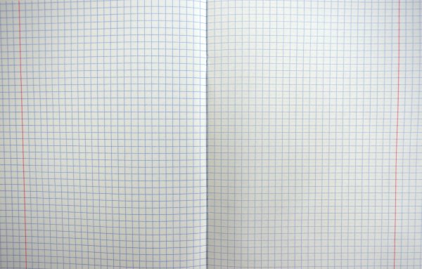 Скан тетрадного листа в клетку а5