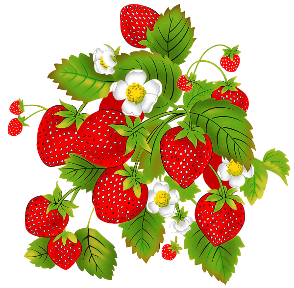 Ягодыи картинка для детей