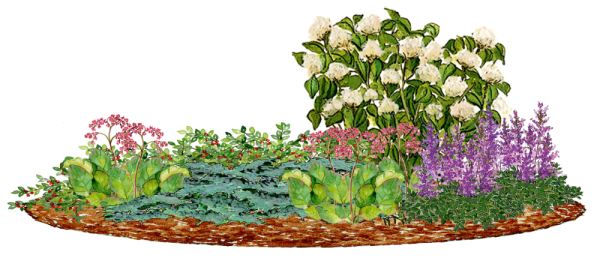 Цветочная клумба на прозрачном фоне