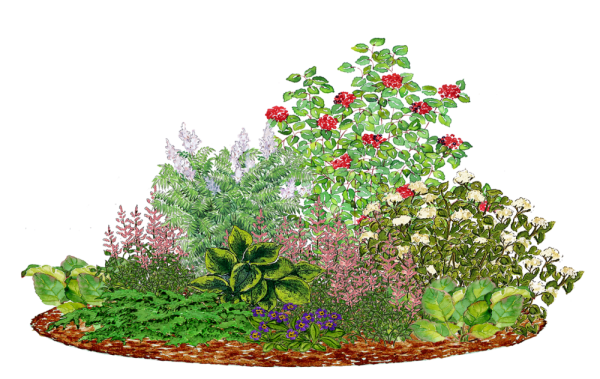 Клумба с цветами