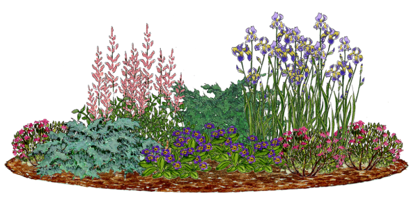 Цветы клумба на прозрачном фоне