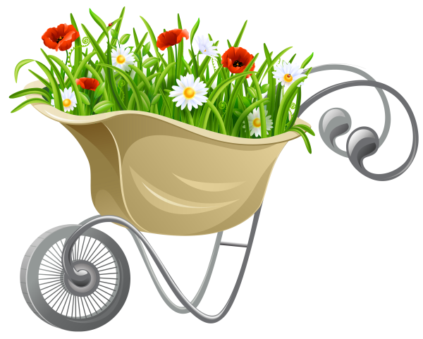 Клумба с цветами вектор