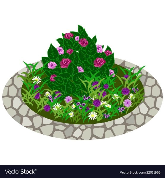 Макет клумбы