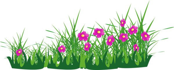 Цветы клумба вектор