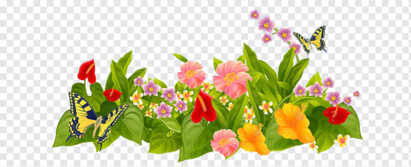 Клипарт на прозрачном фоне цветы бабочки