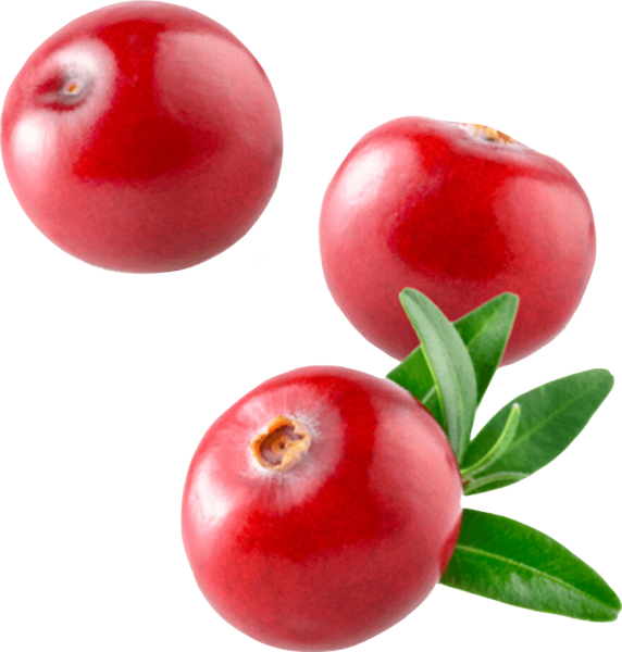 Ягодка клюква