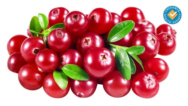 Клюква ягоды на белом фоне