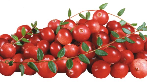 Клюква для дошкольников