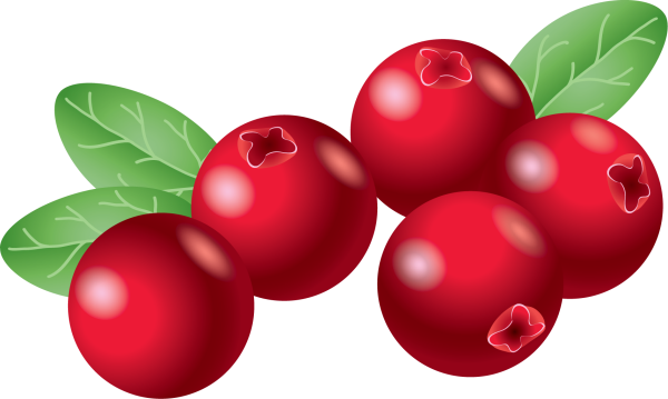 Клюква для дошкольников