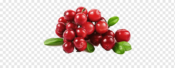 Брусника на прозрачном фоне