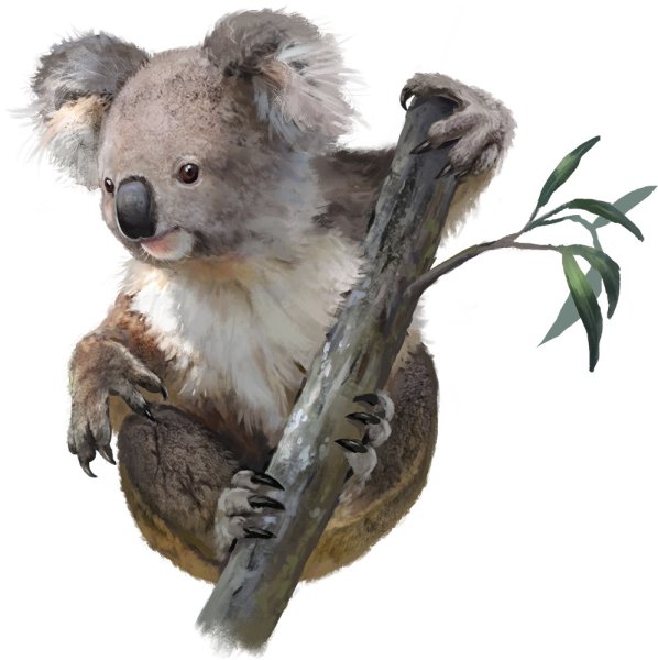 Коала с ребенком