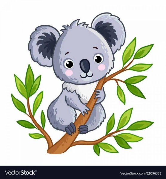 Коала рисунок для детей