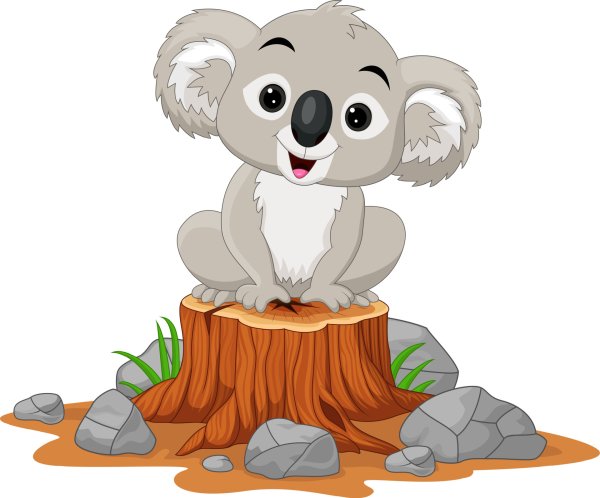 Коала вектор