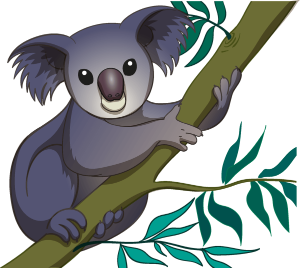 Коала вектор