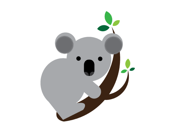 Коала на белом фоне