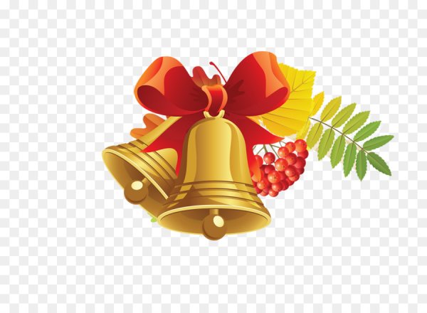 Колокольчик школьный