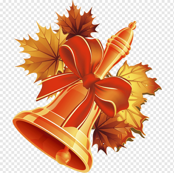 Колокольчик листья