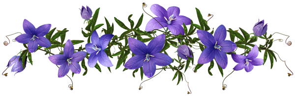 Колокольчик на белом фоне