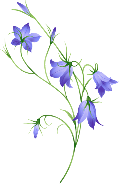 Колокольчик "цветы"