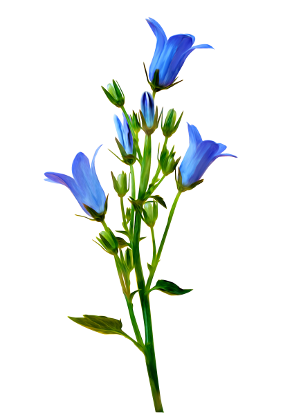 Колокольчик "цветы"