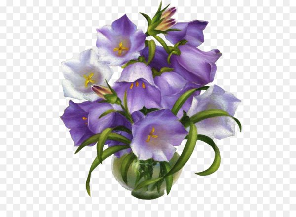 Букет колокольчиков на белом фоне