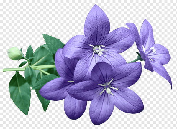 Колокольчик "цветы"