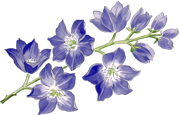 Колокольчик с веточкой