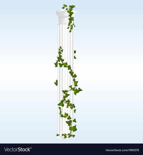 Лианы на колонне