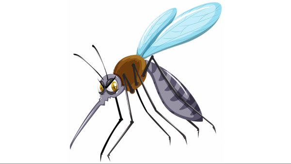 Комар на белом фоне мультяшный