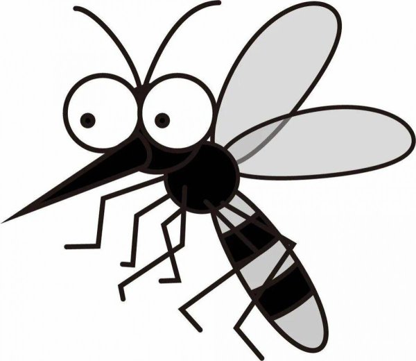 Комар для детей