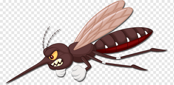 Комар без фона