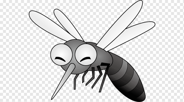 Комар для дошкольников