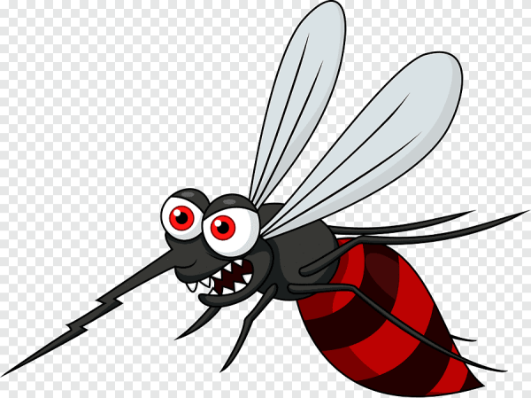 Злой комар на прозрачном фоне