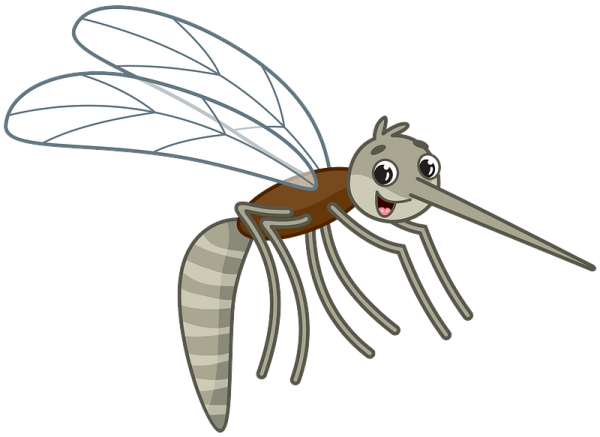 Комар для детей дошкольного возраста