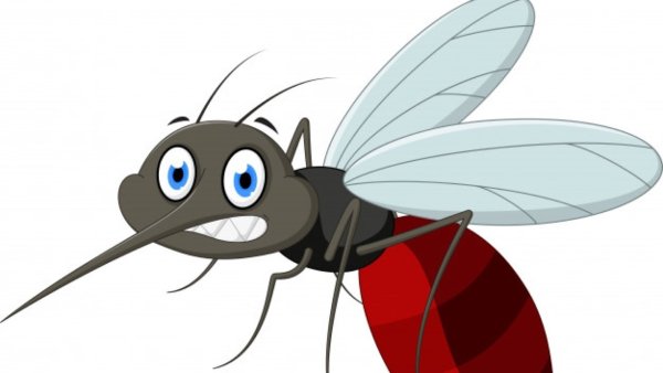 Комар из сказки