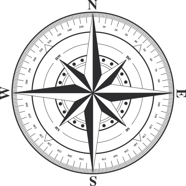 Компасная картушка