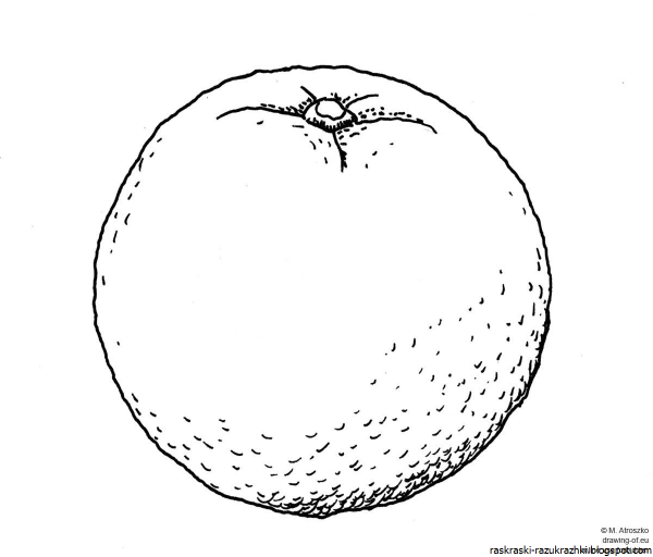 Апельсин раскраска для детей
