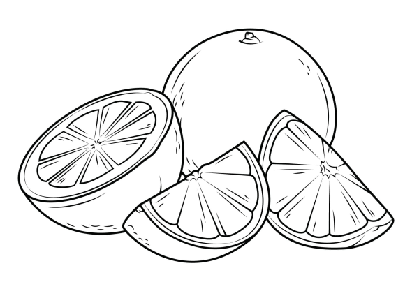 Апельсин раскраска