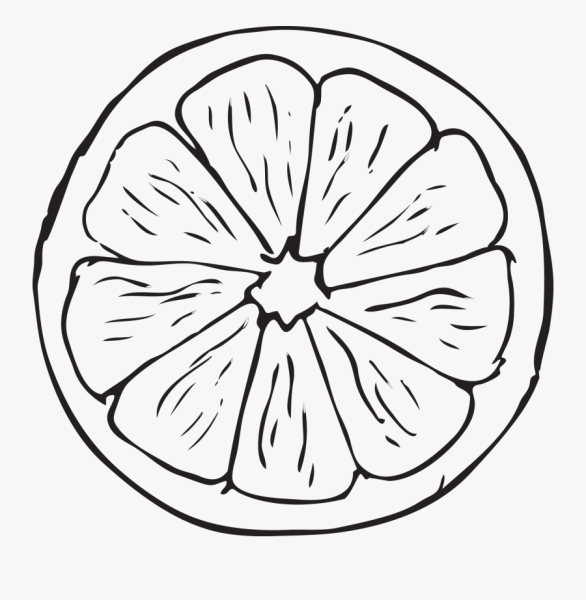 Мандарин раскраска